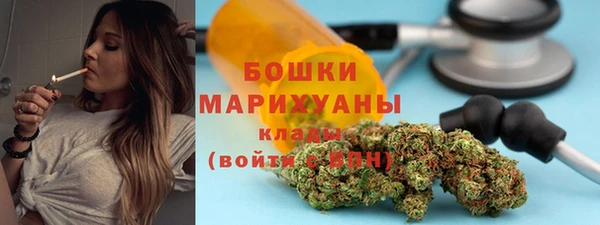 шишки Богородск