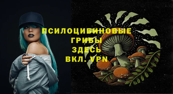spice Белокуриха