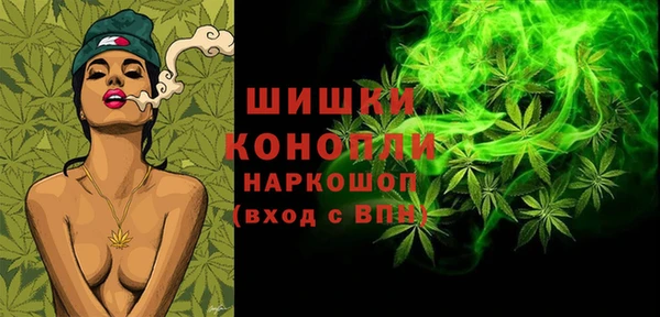 spice Белокуриха